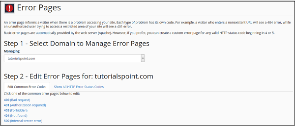 Error Page Manage